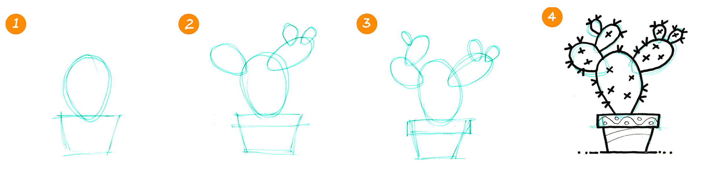 How to draw a cactus using the foundation lines technique, from the Draw in 4~! ebook